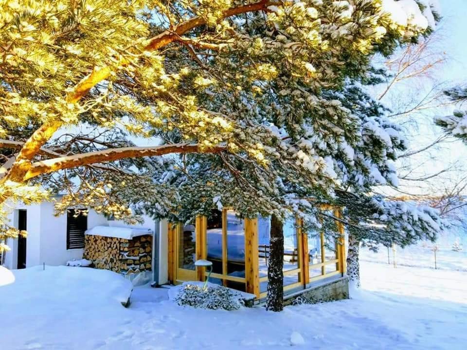 Villa House Zmajevac Zlatibor