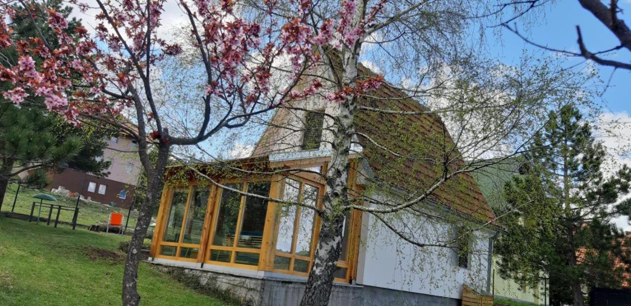 House Zmajevac Villa Zlatibor