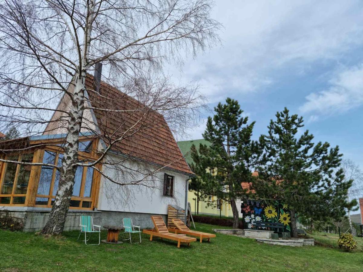 Villa House Zmajevac Zlatibor